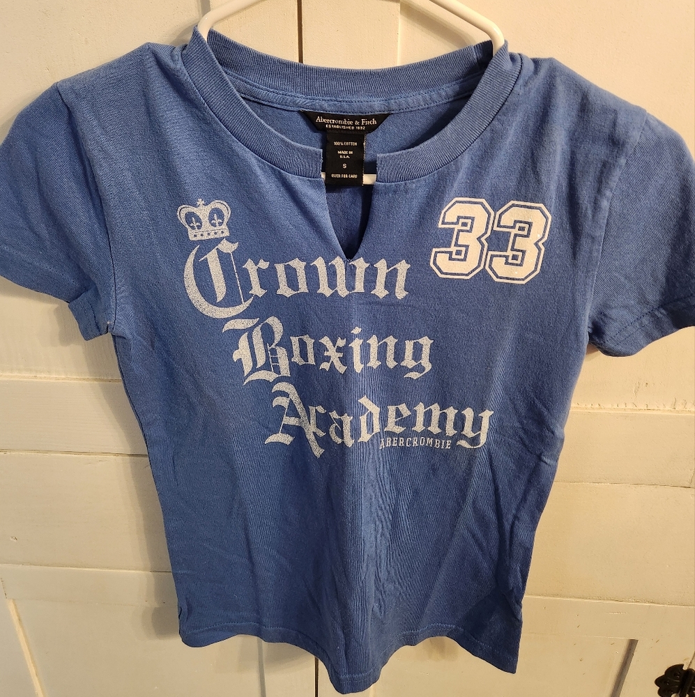 Abercrombie & Fitch Blue Graphic Tee